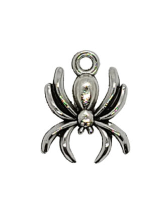 spiders,spider,insects,bugs,power animals,spirit animals,spirit guides